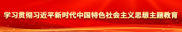 综合色激情学习贯彻习近平新时代中国特色社会主义思想主题教育